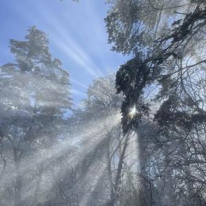 东北毛60发妇女毛片
